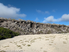 Galapagos-Natur12.jpg